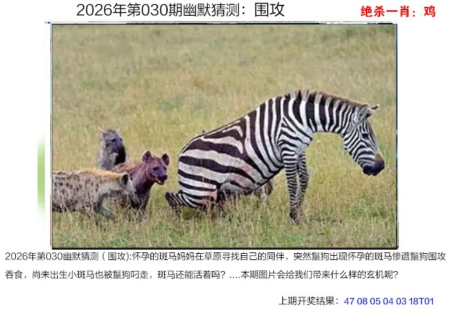 030期幽默猜测[图]