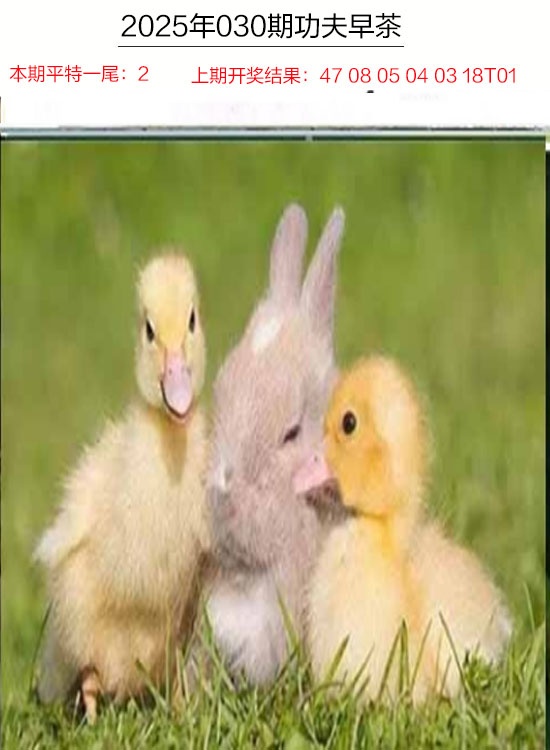 030期功夫早茶[图]