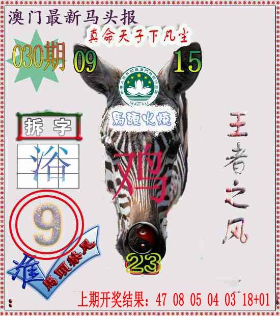 030期马头报[图]
