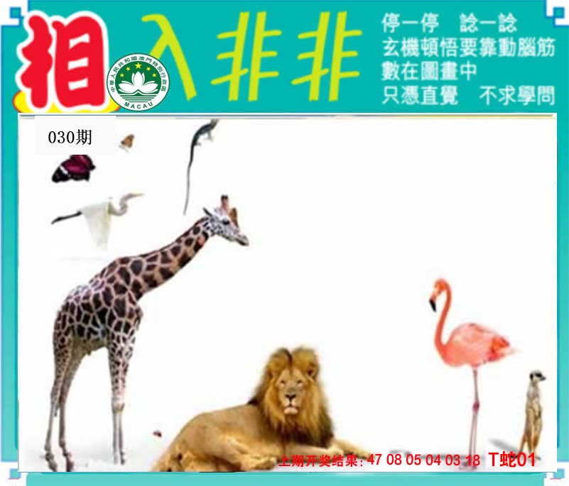 030期相入非非[图]