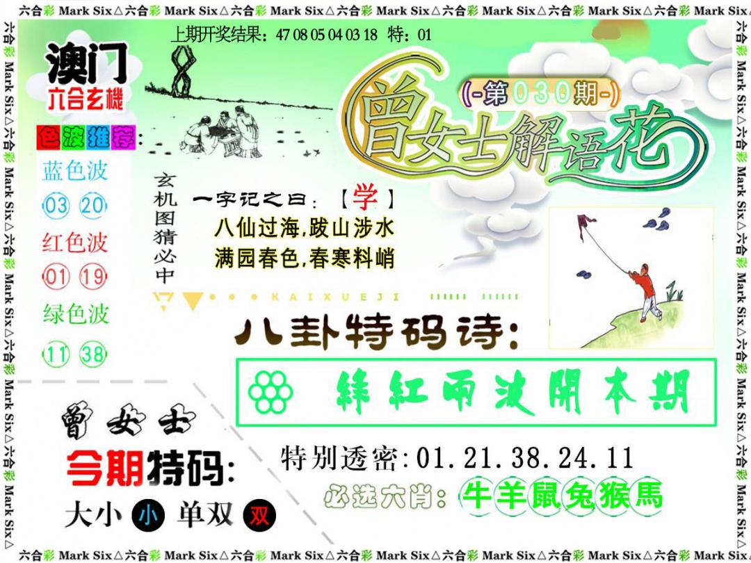 030期曾女士解语花[图]