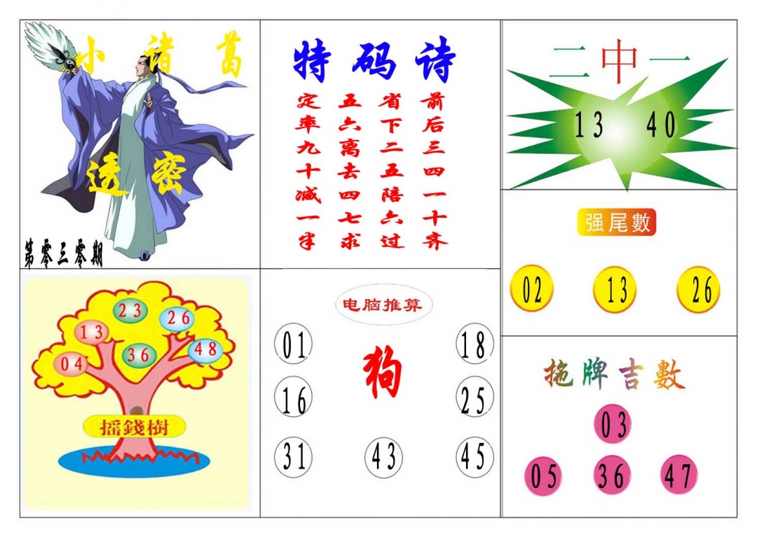 030期小诸葛[图]