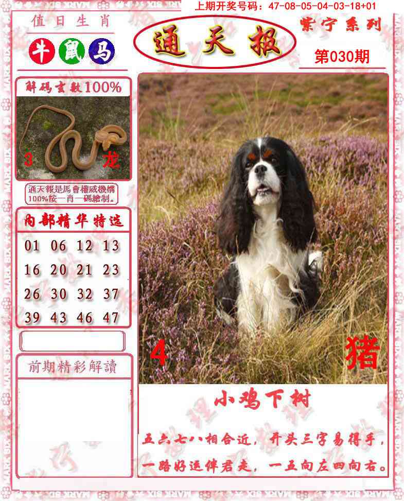 030期救通报[图]