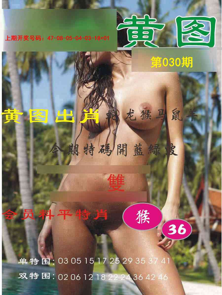 030期黄图[图]
