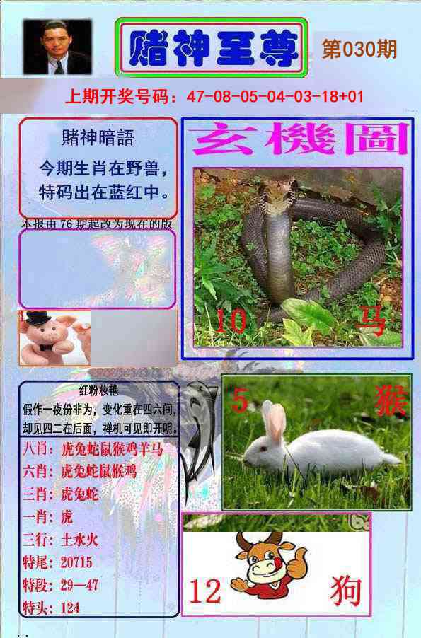 030期赌神至尊[图]