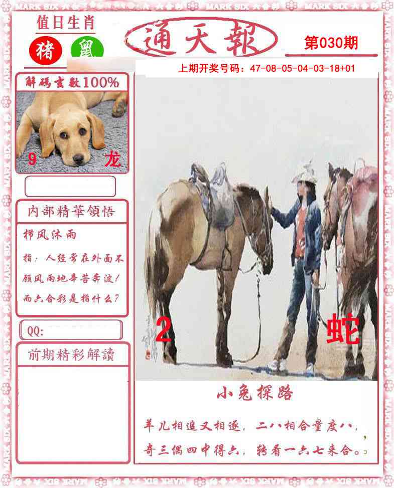 030期正版通天报[图]