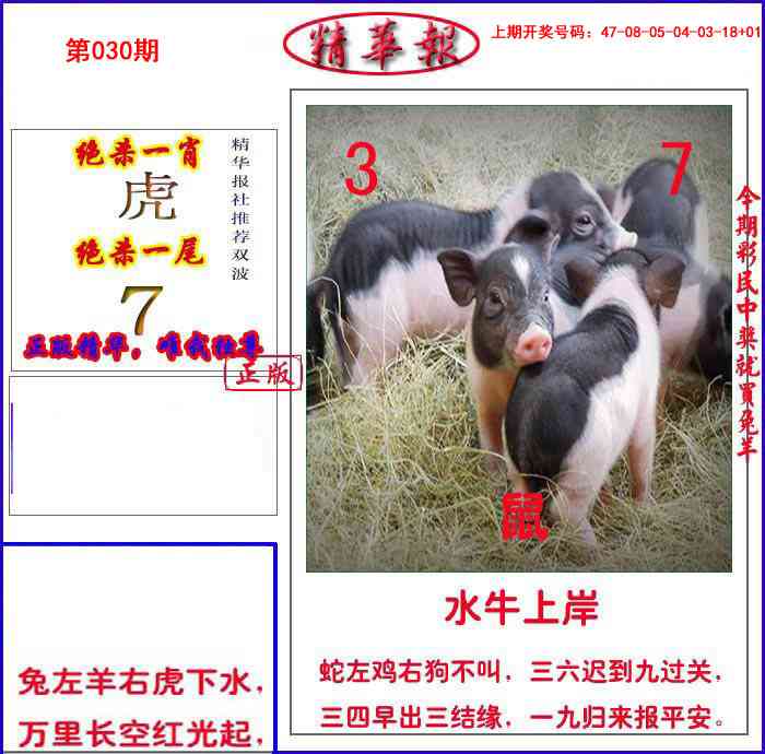 030期新精华报报[图]