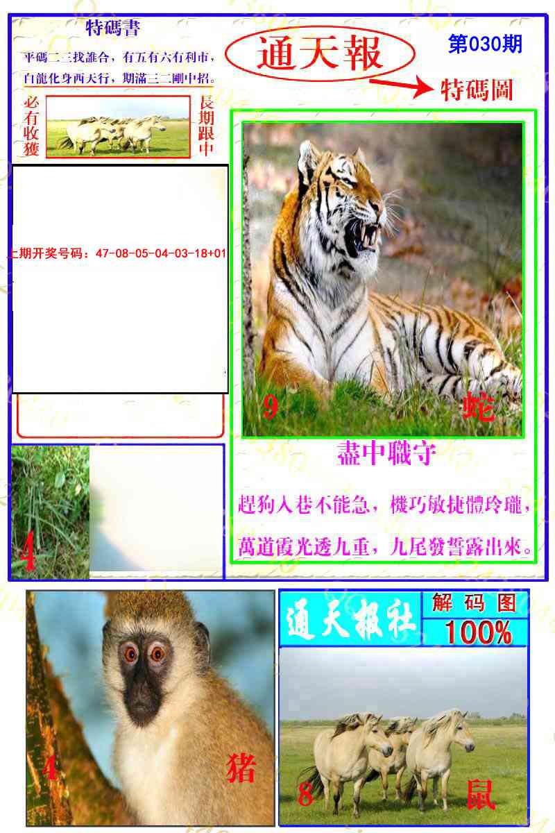 030期通天特解图[图]