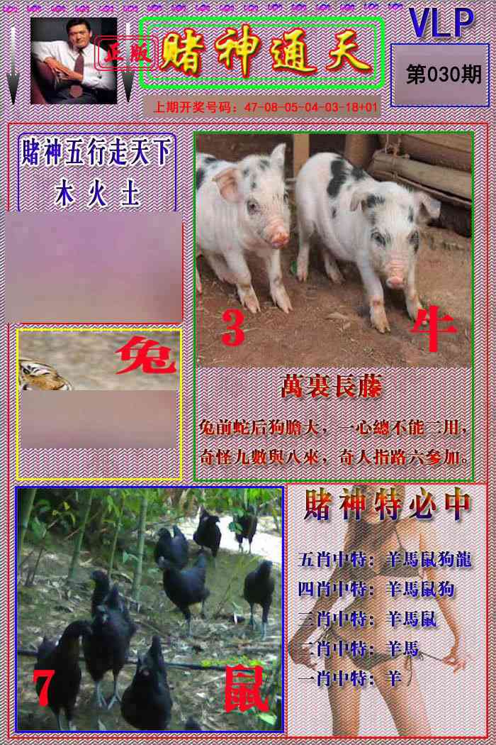 030期赌神通天报[图]