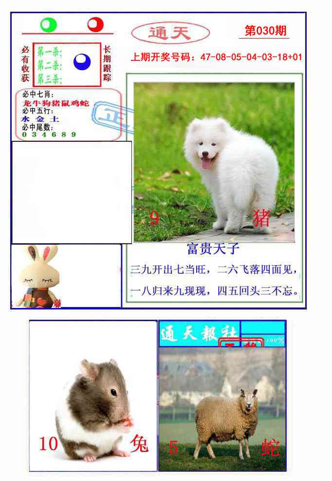 030期通天杀波图2[图]