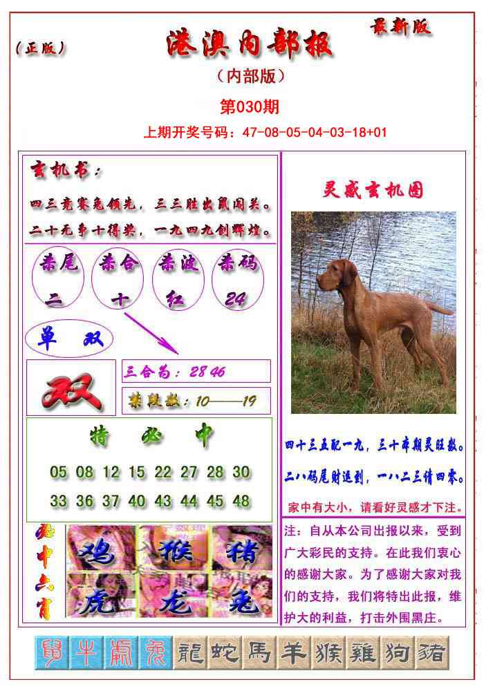 030期港澳报[图]