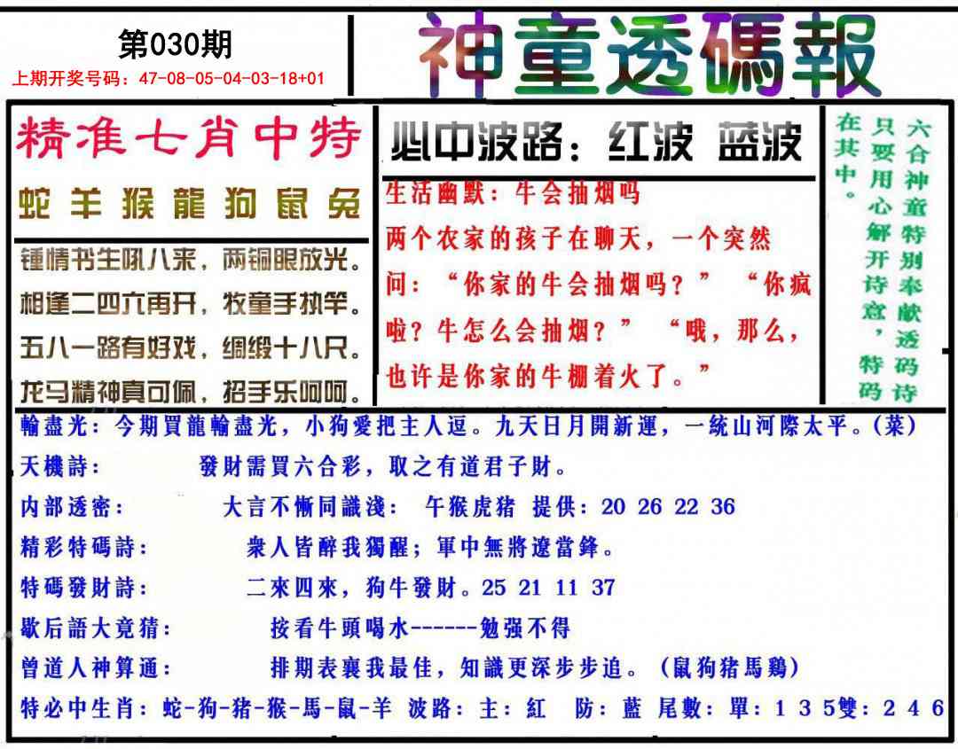 030期神童透码报[图]