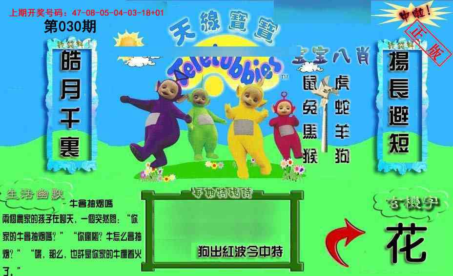 030期新天线宝宝(2006一版)[图]