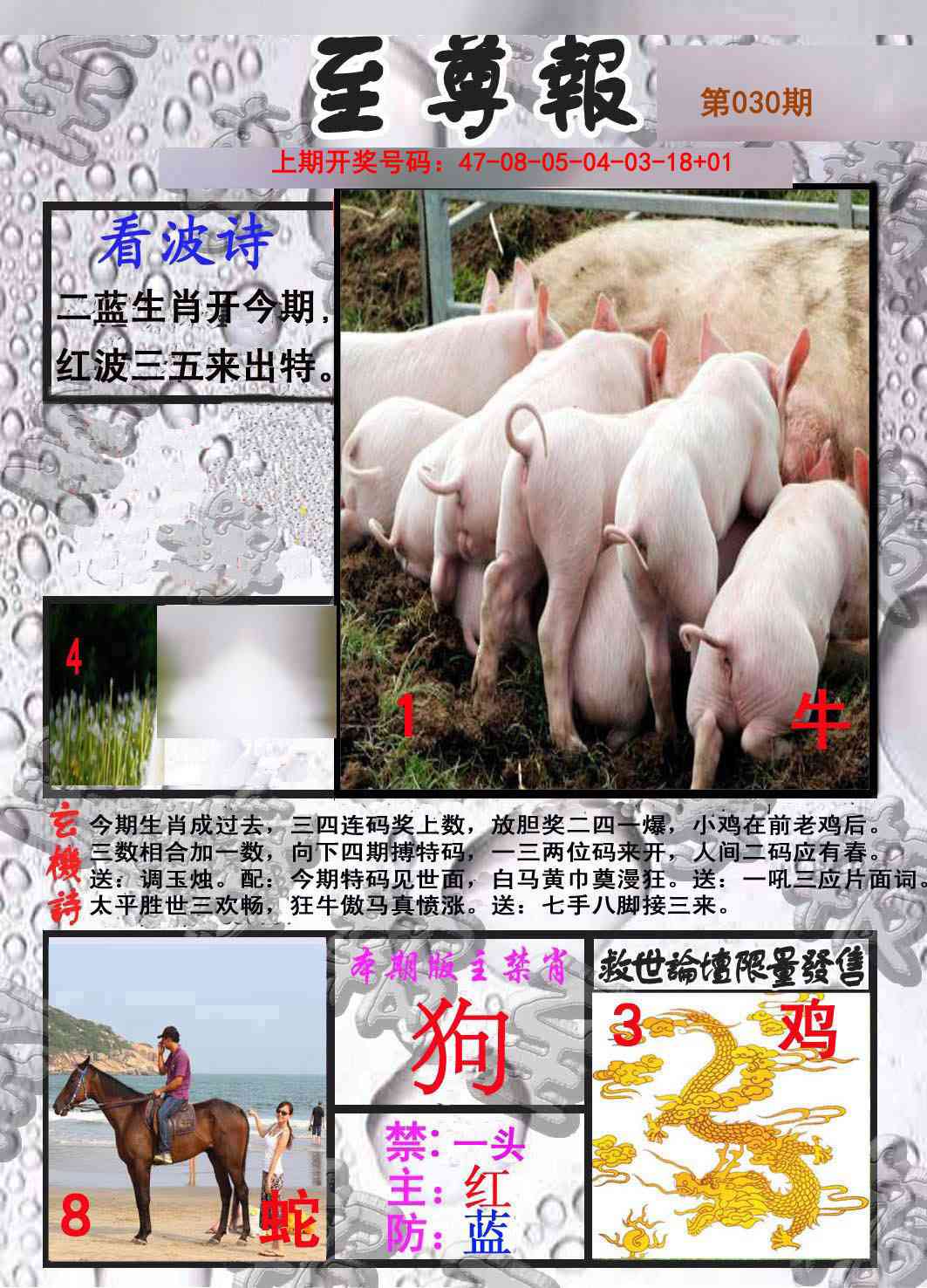 030期至尊报[图]