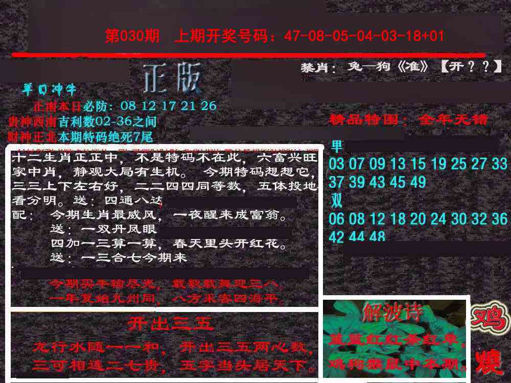 030期新港内幕[图]