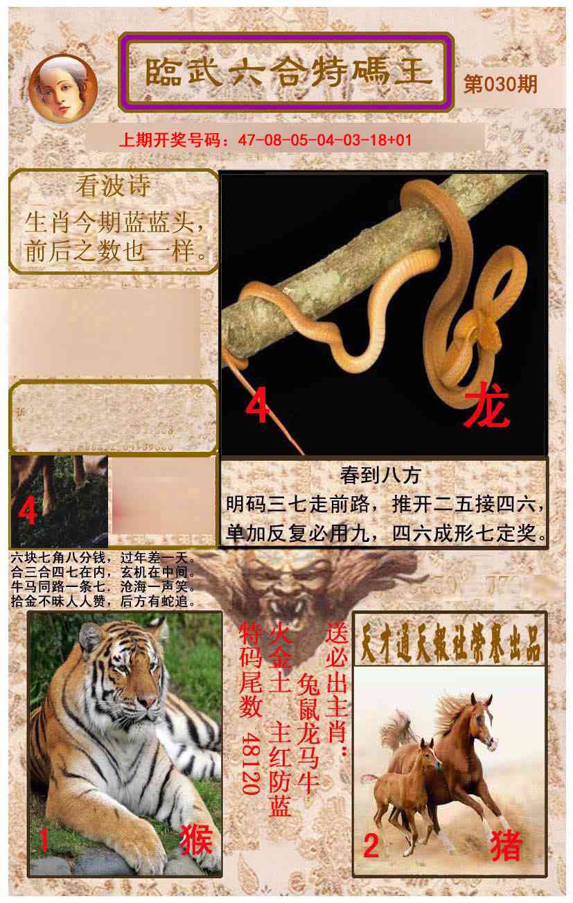 030期临武六合特码王[图]