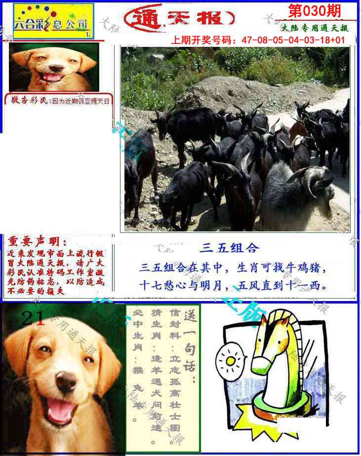 030期大陆通天报[图]