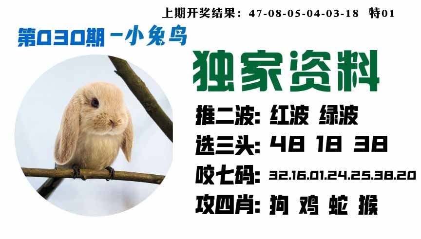 030期小兔鸟[图]