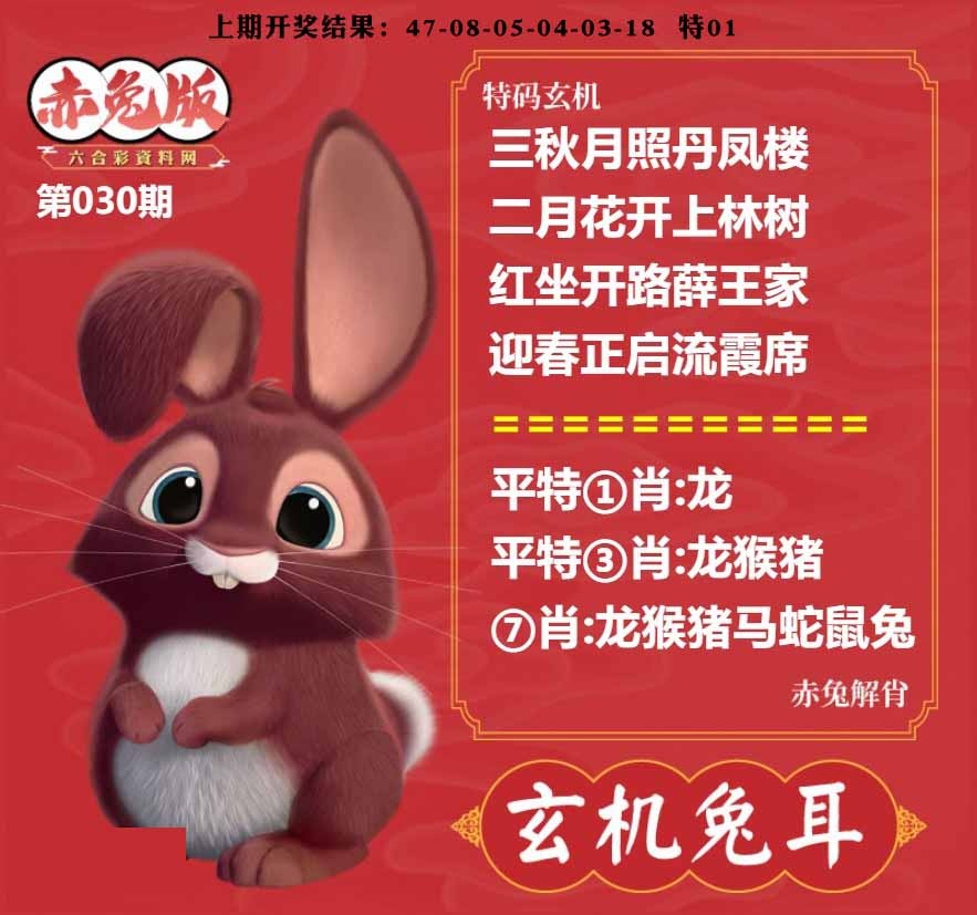 030期玄机兔耳[图]