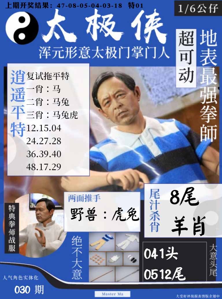 030期太极侠[图]